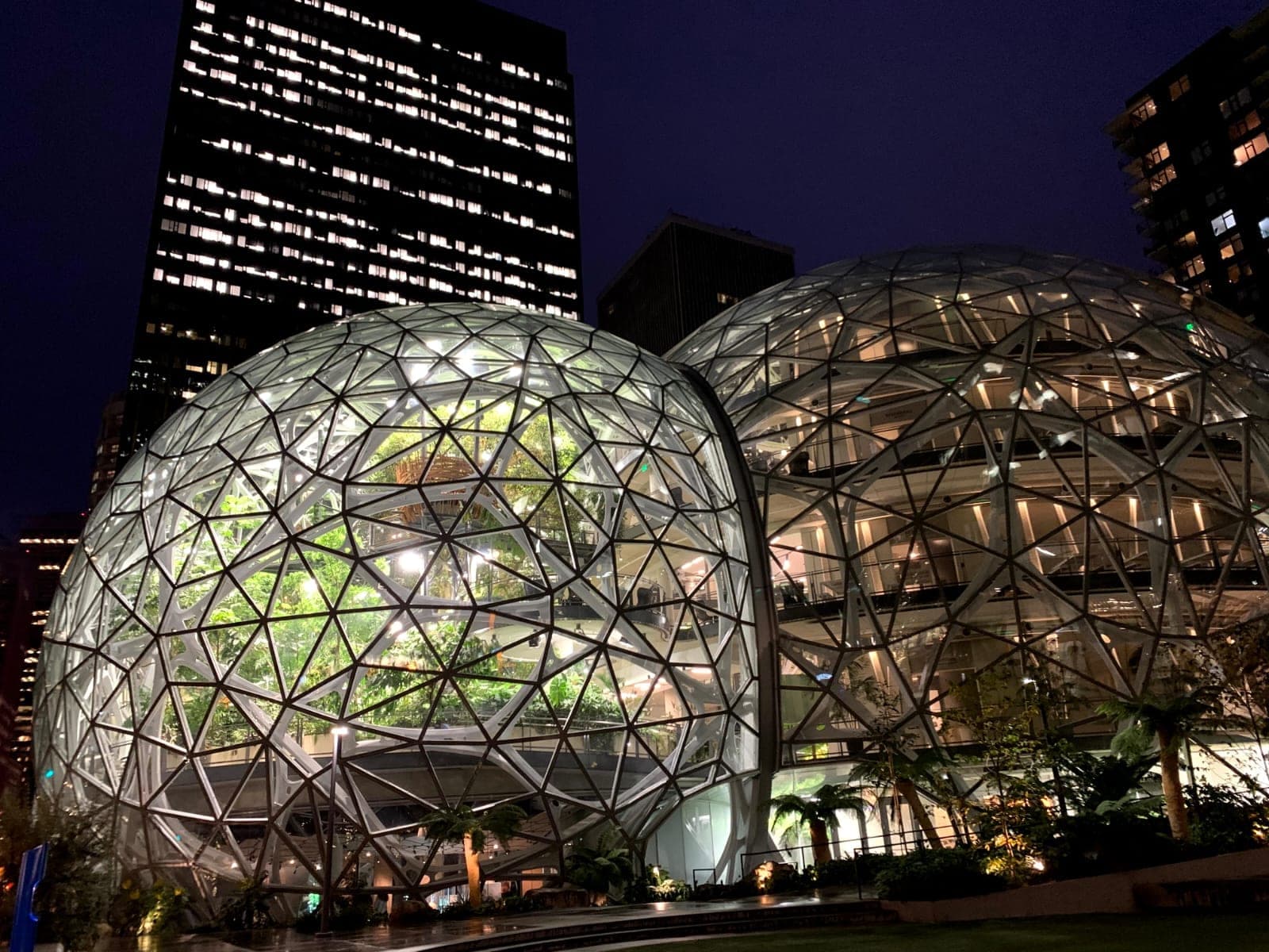 As Spheres, cúpulas de vidro iluminadas à noite, com plantas no interior e torres de escritório ao fundo.